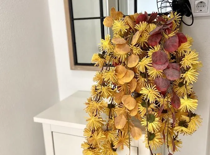 Casa Sole - Playa San Juan Nr. 3 *